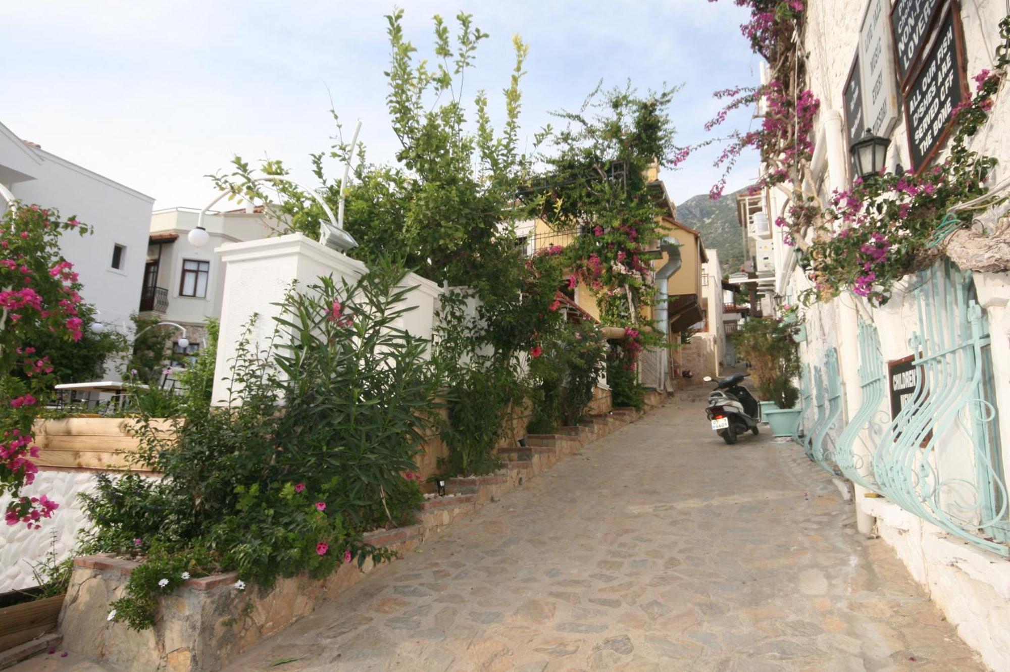 Smart Aparts Kalkan Kültér fotó