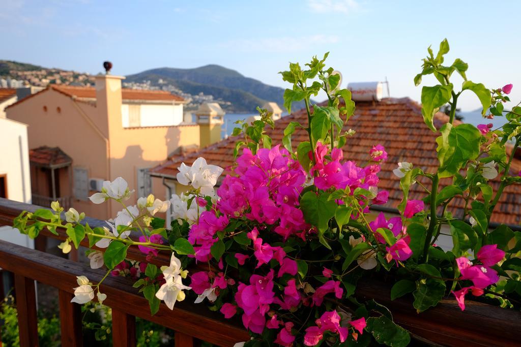 Smart Aparts Kalkan Kültér fotó